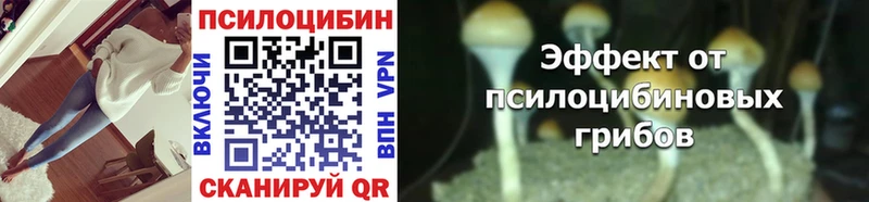 Галлюциногенные грибы MAGIC MUSHROOMS  Заозёрск 